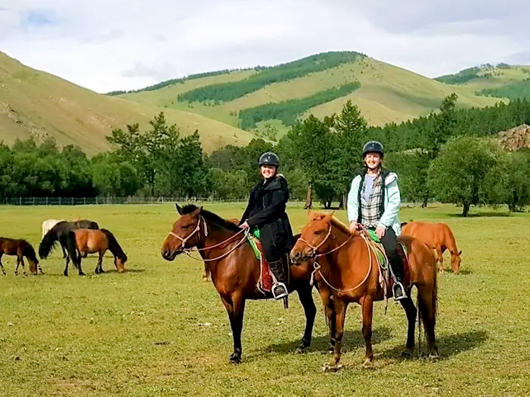 �׸��� ��������