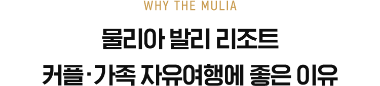 �ĸ��� ��ȹ��