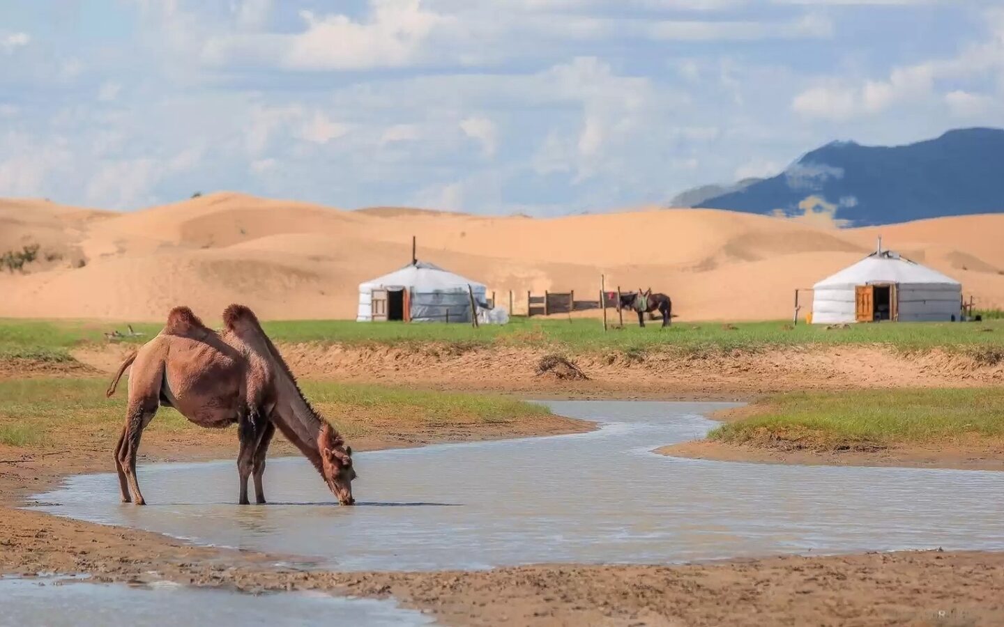 [������/ǰ��]  ������ �ߺ��ڽ� 4��5�� (�̴ϻ縷+�������� ���+õ������+�������+������+��Ƽ����)