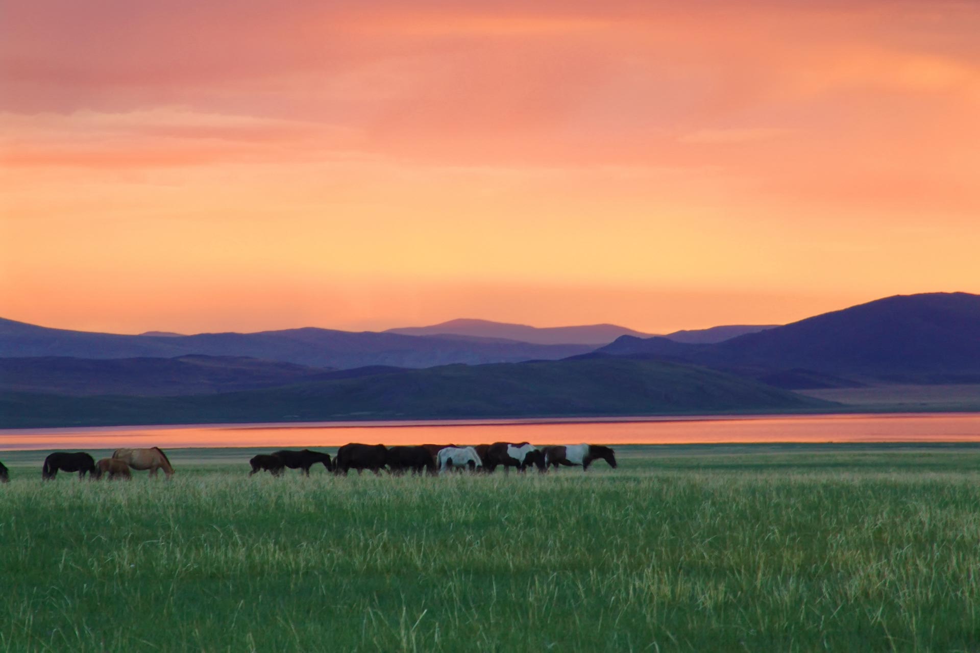 [������/ǰ��] �ú����� Ⱦ�ܿ����� Ÿ�� ���þ� ������� ���� �Ϻ����� ���� 3�� 