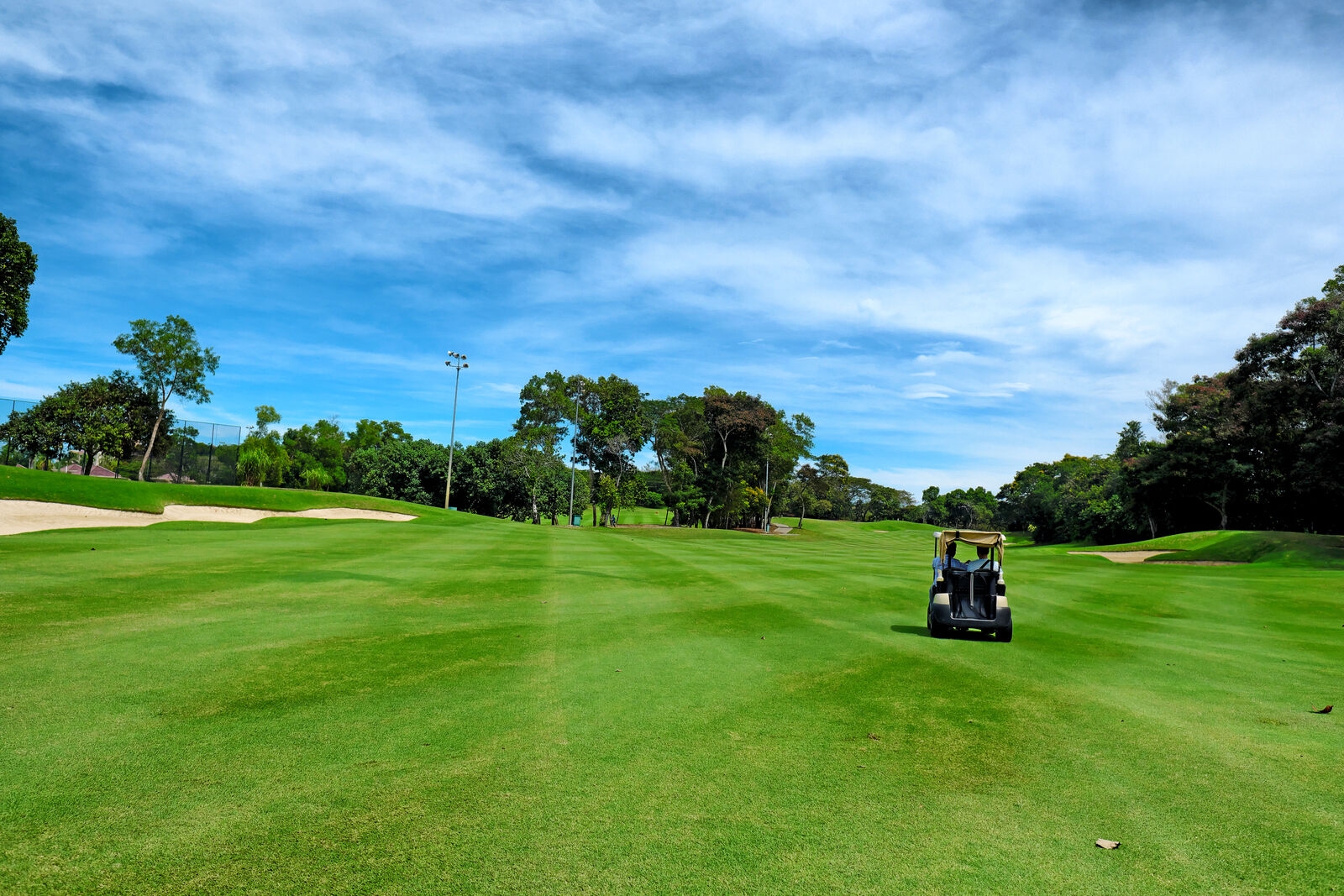 [������/ǰ��] ��糪�� �ٻ����� 54Ȧ All ���� 4��5�� (�����/��ɼ�/����)