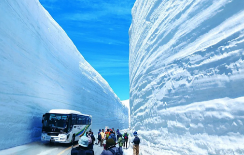 [������/�츮��] ������/���׾߸�/�����Ʈ/�ö�ī�Ͱ� 3��4�� 