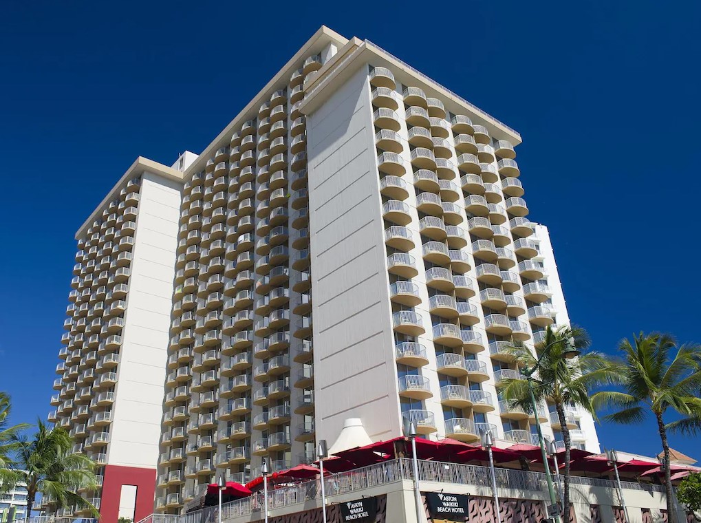 �� Ʈ�� ��