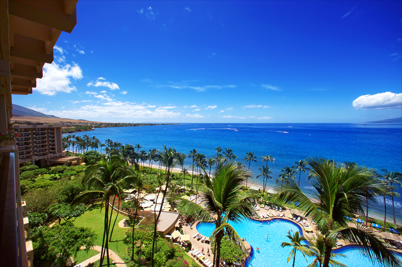 �Ͼ�Ʈ ������ ������