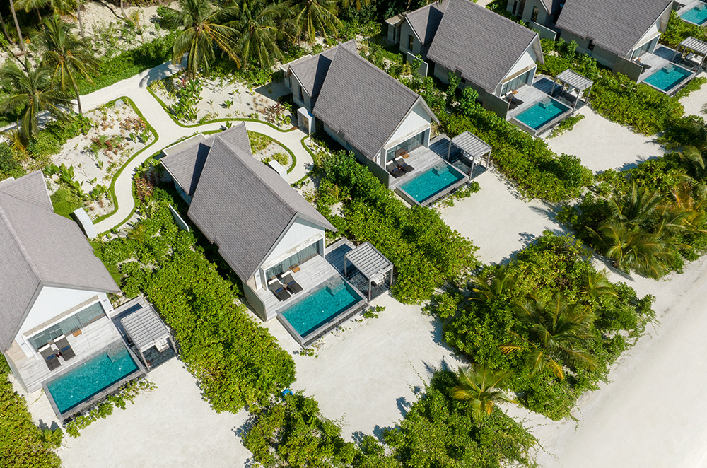 ���� �̹���